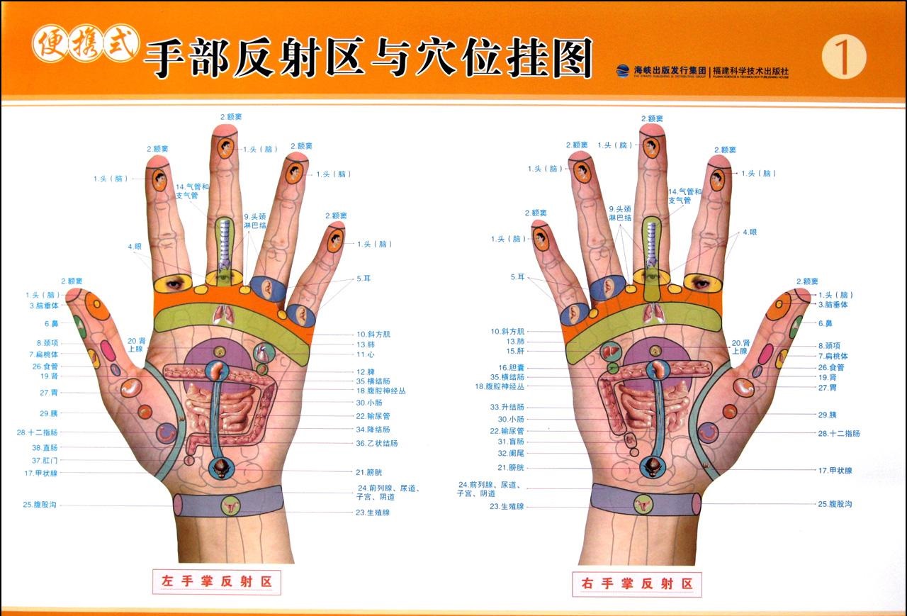 經(jīng)絡(luò)多久疏通一次好？